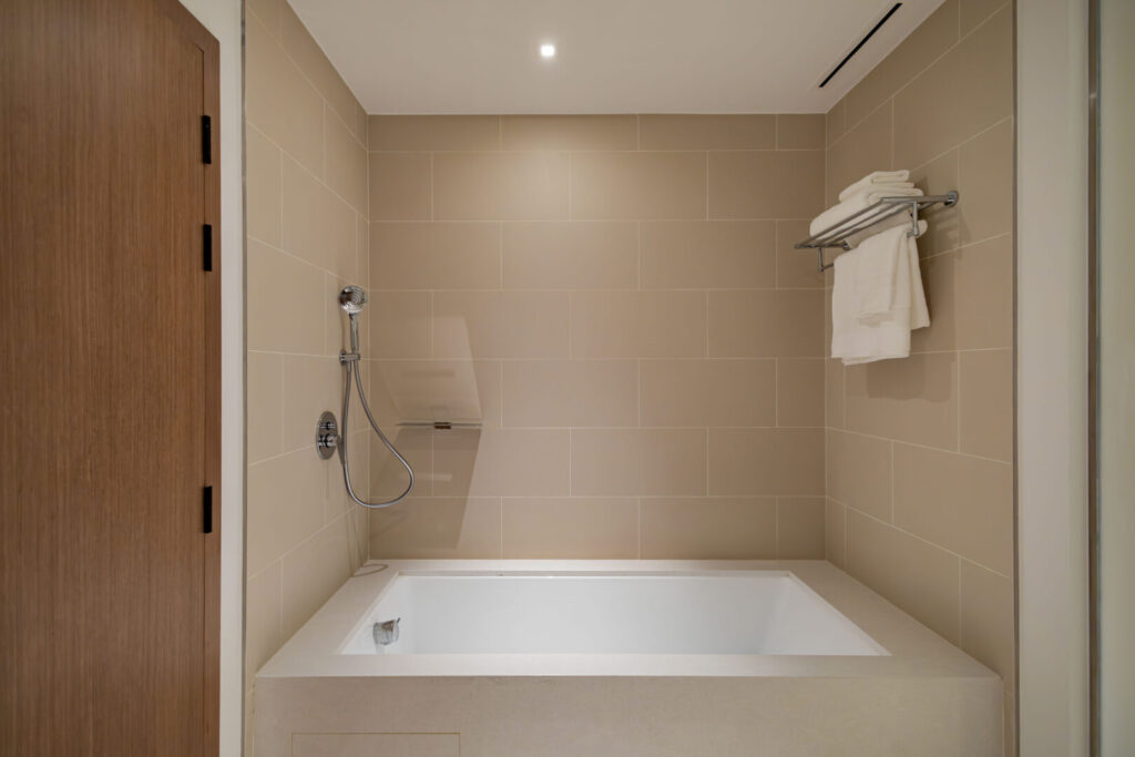 Master Bathroom 3