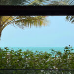 View From Living Room